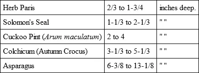 The water evaporating on the surface of the soil must as it rises from the - фото 2