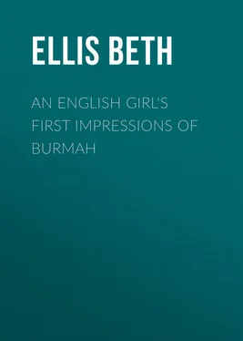 Beth Ellis An English Girl's First Impressions of Burmah обложка книги
