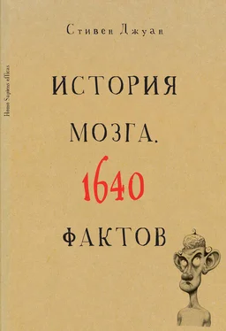 Стивен Джуан История мозга. 1640 фактов обложка книги