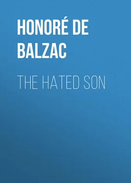 Honoré Balzac The Hated Son обложка книги