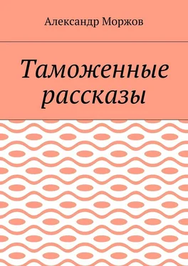 Александр Моржов Таможенные рассказы обложка книги