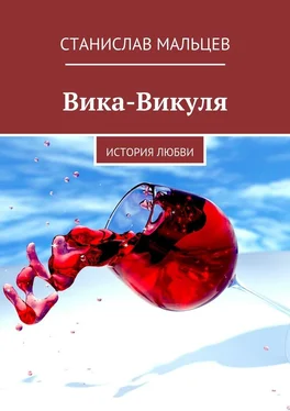 Станислав Мальцев Вика-Викуля. История любви обложка книги