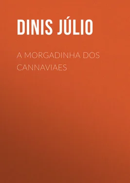 Júlio Dinis A Morgadinha dos Cannaviaes обложка книги