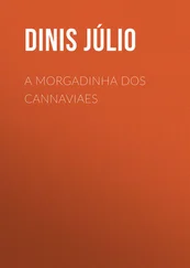 Júlio Dinis - A Morgadinha dos Cannaviaes