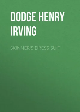 Henry Dodge Skinner's Dress Suit обложка книги