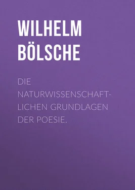 Wilhelm Bölsche Die naturwissenschaftlichen Grundlagen der Poesie. обложка книги