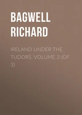 Richard Bagwell Ireland under the Tudors. Volume 3 (of 3) обложка книги