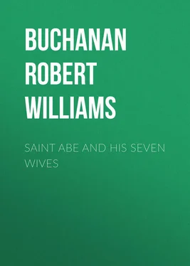 Robert Buchanan Saint Abe and His Seven Wives обложка книги