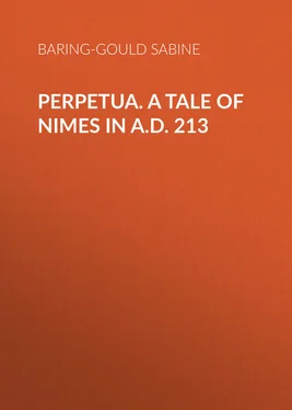 Sabine Baring-Gould Perpetua. A Tale of Nimes in A.D. 213 обложка книги