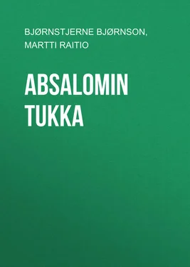 Bjørnstjerne Bjørnson Absalomin tukka обложка книги