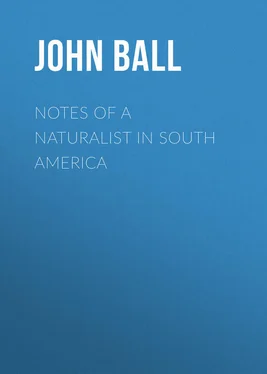 John Ball Notes of a naturalist in South America обложка книги