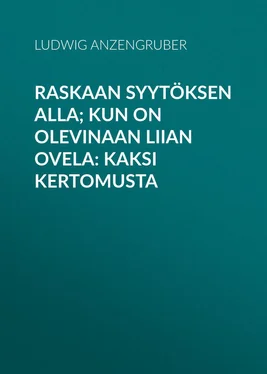 Ludwig Anzengruber Raskaan syytöksen alla; Kun on olevinaan liian ovela: Kaksi kertomusta обложка книги