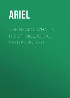 Ariel The Negro: What is His Ethnological Status? 2nd Ed.