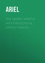 Ariel - The Negro - What is His Ethnological Status? 2nd Ed.