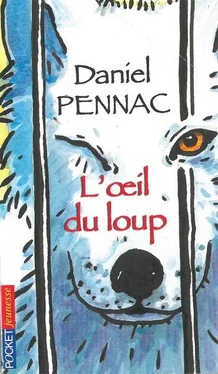 Daniel Pennac L'oeil du loup обложка книги