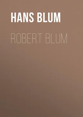 Hans Blum Robert Blum обложка книги