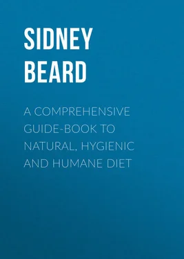 Sidney Beard A Comprehensive Guide-Book to Natural, Hygienic and Humane Diet обложка книги