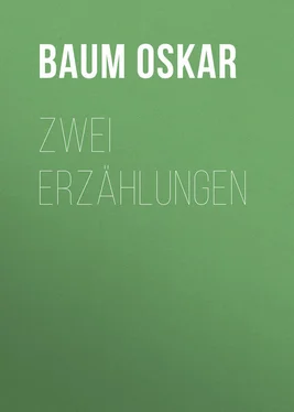 Oskar Baum Zwei Erzählungen обложка книги