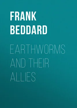 Frank Beddard Earthworms and Their Allies обложка книги