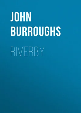John Burroughs Riverby обложка книги