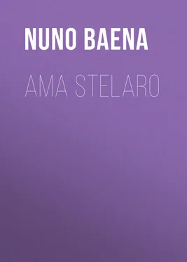 Nuno Baena Ama Stelaro обложка книги