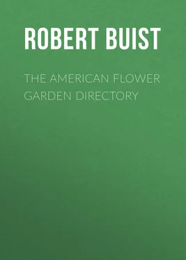 Robert Buist The American Flower Garden Directory обложка книги