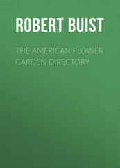 Robert Buist - The American Flower Garden Directory