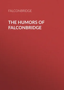 Falconbridge The Humors of Falconbridge обложка книги