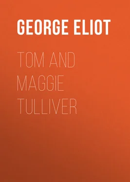 George Eliot Tom and Maggie Tulliver обложка книги