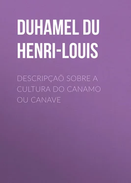 Henri-Louis Duhamel du Monceau Descripçaõ sobre a cultura do Canamo ou Canave обложка книги