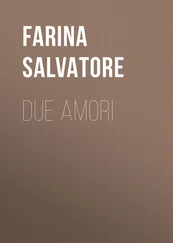 Salvatore Farina - Due amori