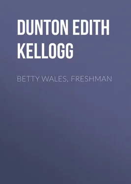 Edith Dunton Betty Wales, Freshman обложка книги