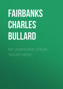 Charles Fairbanks My Unknown Chum: Aguecheek обложка книги