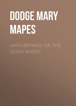 Mary Dodge Hans Brinker; Or, The Silver Skates обложка книги