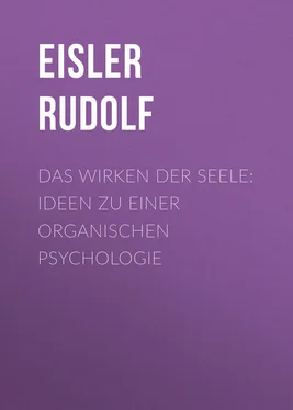 Rudolf Eisler Das Wirken der Seele: Ideen zu einer organischen Psychologie обложка книги