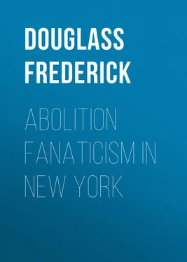 Frederick Douglass Abolition Fanaticism in New York обложка книги