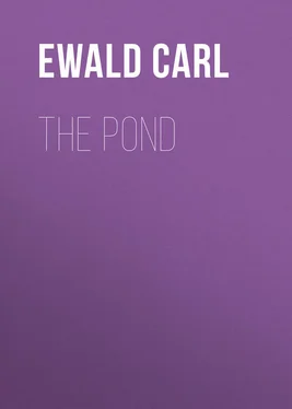 Carl Ewald The Pond обложка книги