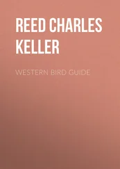 Charles Reed - Western Bird Guide