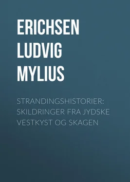Ludvig Erichsen Strandingshistorier: Skildringer fra jydske Vestkyst og Skagen обложка книги