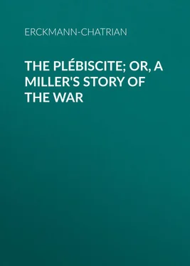 Erckmann-Chatrian The Plébiscite; or, A Miller's Story of the War обложка книги