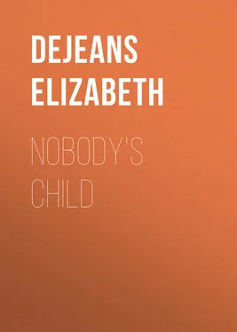 Elizabeth Dejeans Nobody's Child обложка книги