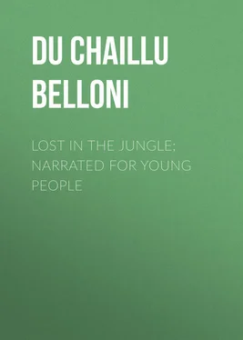 Paul Du Chaillu Lost in the Jungle; Narrated for Young People обложка книги