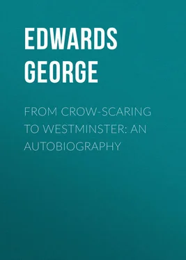 George Edwards From Crow-Scaring to Westminster: An Autobiography обложка книги
