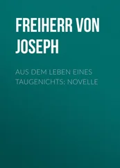 Joseph Eichendorff - Aus dem Leben eines Taugenichts - Novelle