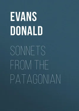 Donald Evans Sonnets from the Patagonian обложка книги