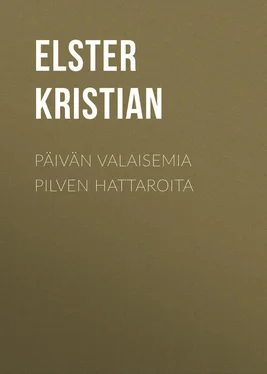 Kristian Elster Päivän valaisemia pilven hattaroita обложка книги