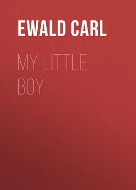 Carl Ewald My Little Boy обложка книги