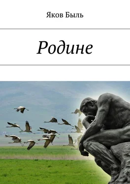 Яков Быль Родине обложка книги