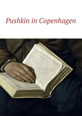 Irina Bjørnø Pushkin in Copenhagen обложка книги