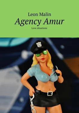 Leon Malin Agency Amur. Love situations обложка книги